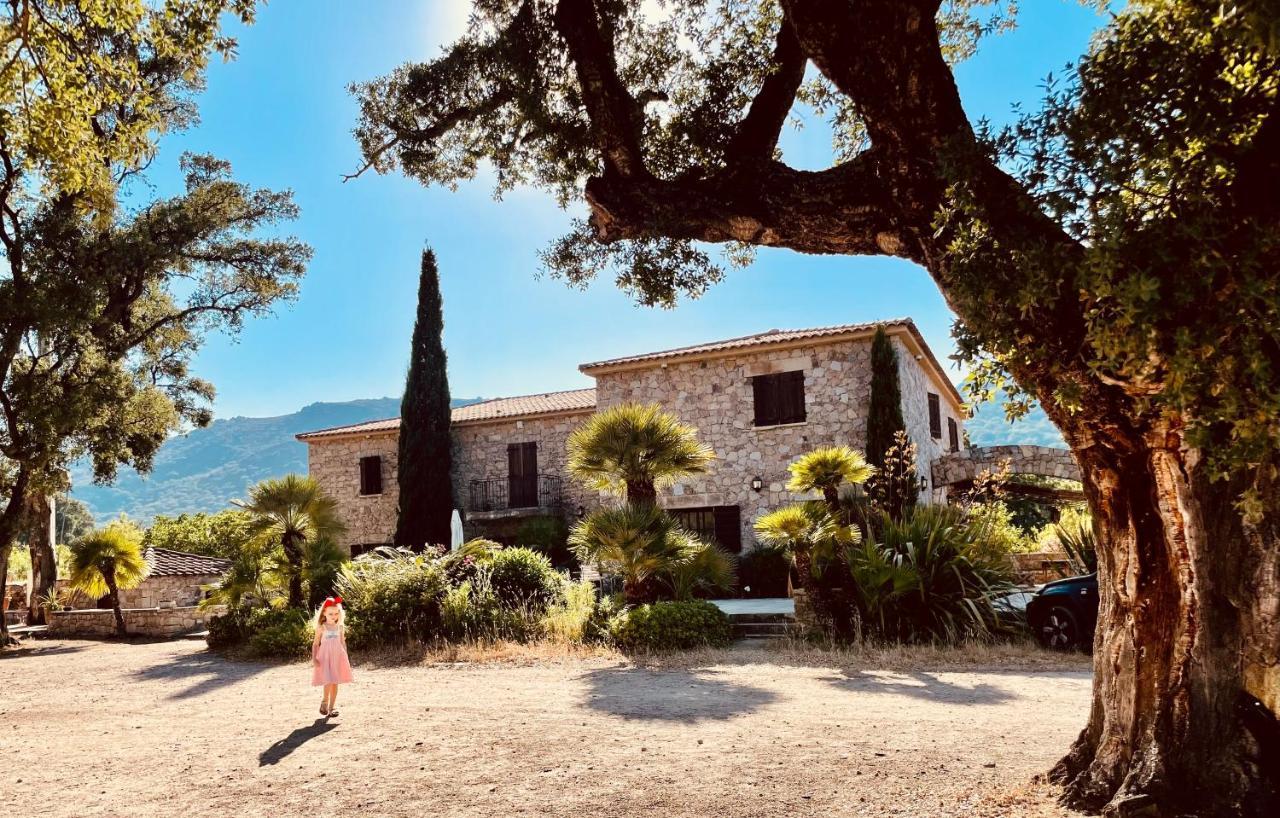 Отель Domaine Du Reginu Santa-Reparata-di-Balagna Экстерьер фото