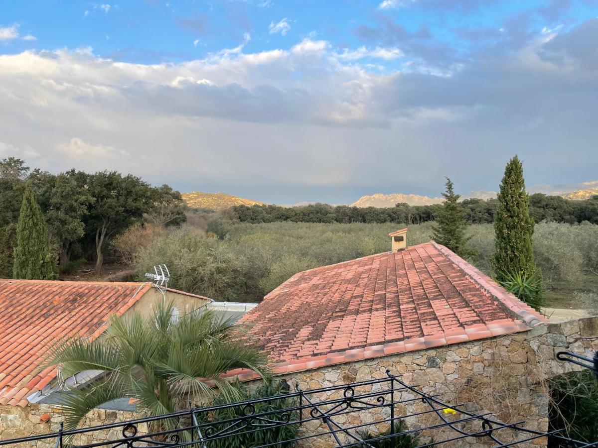 Отель Domaine Du Reginu Santa-Reparata-di-Balagna Экстерьер фото